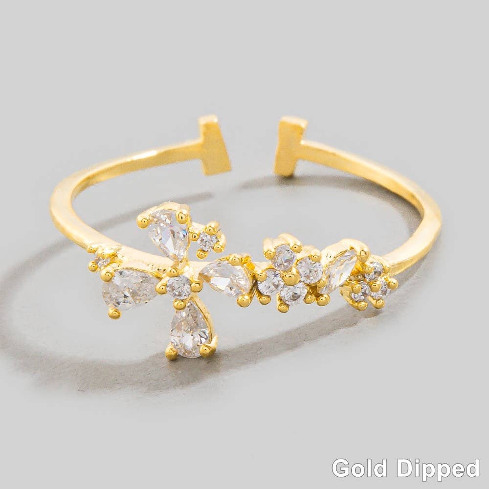 Arlo Ring