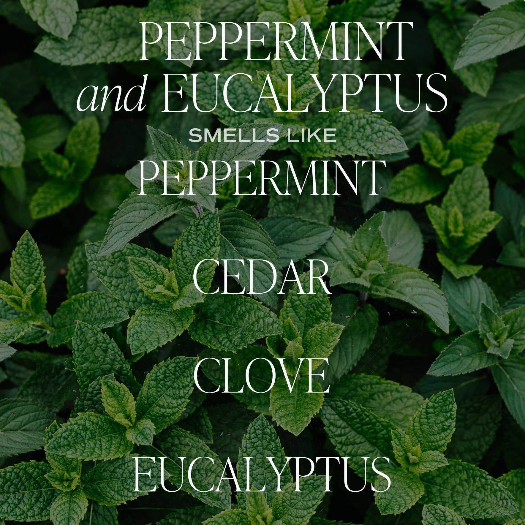 Peppermint and Eucalyptus Candle