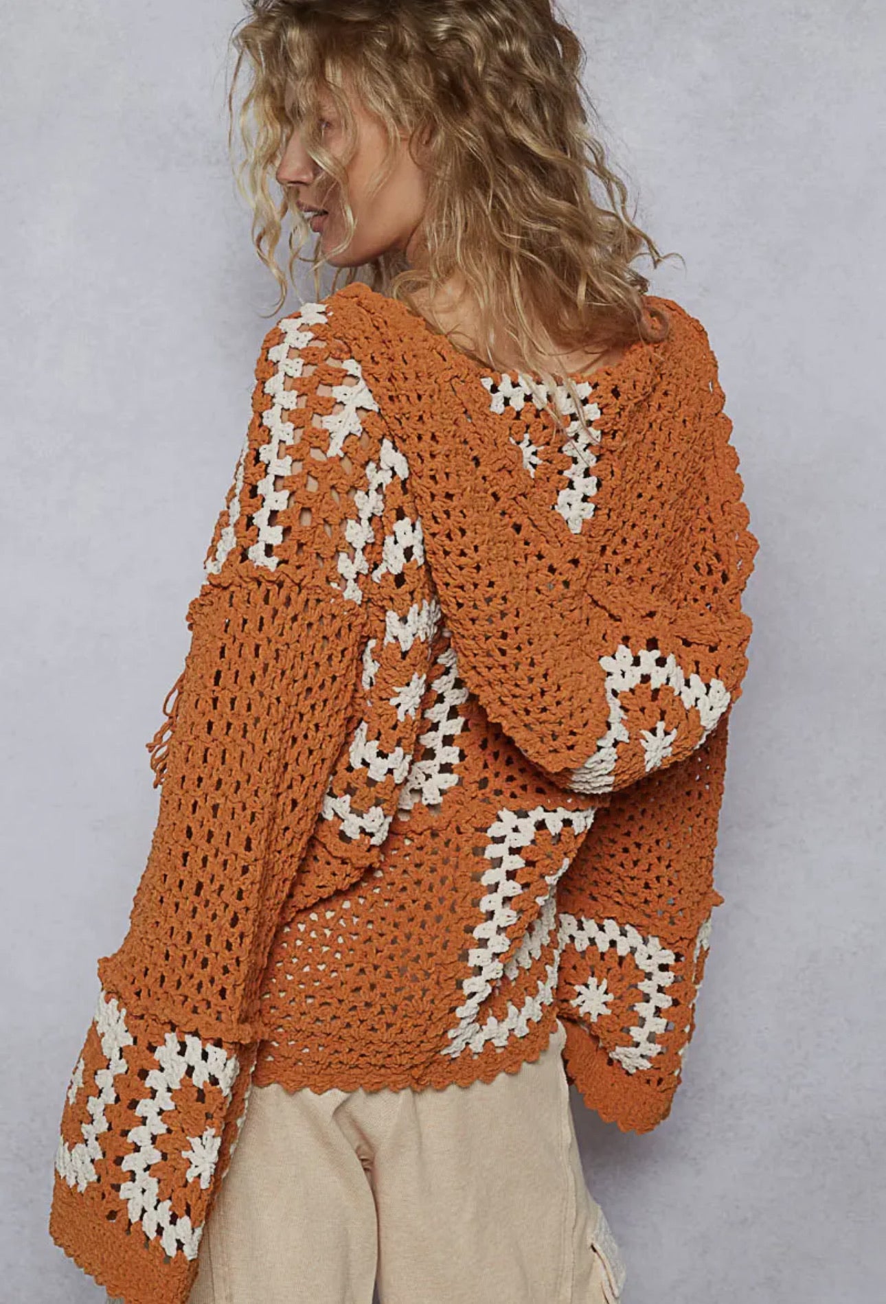 Cinnamon Knit Hoodie