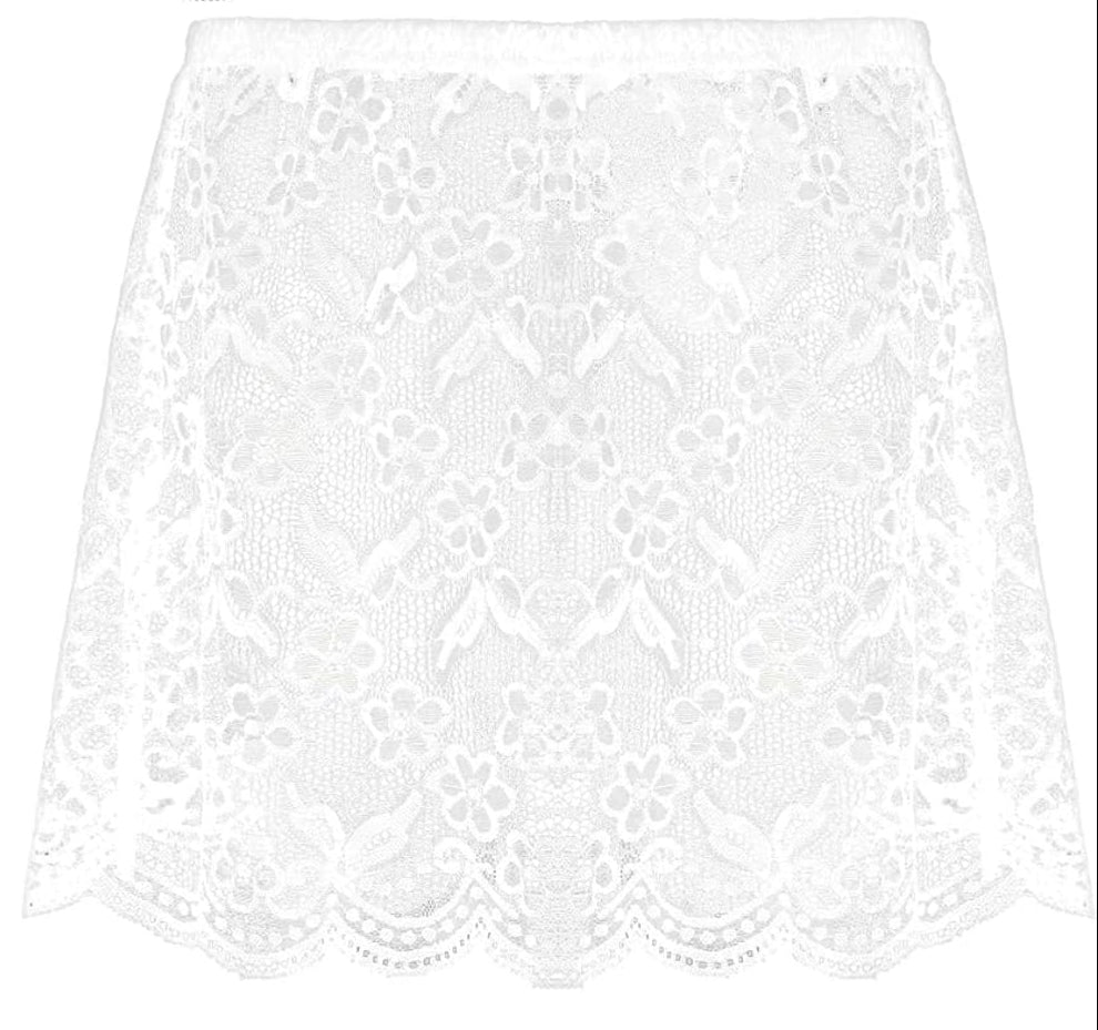 Sheer Lace Slip