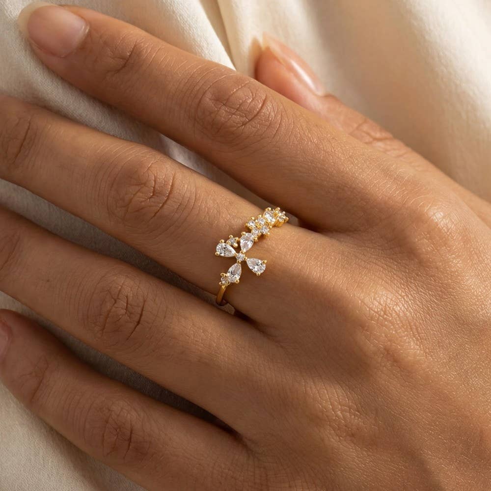 Arlo Ring