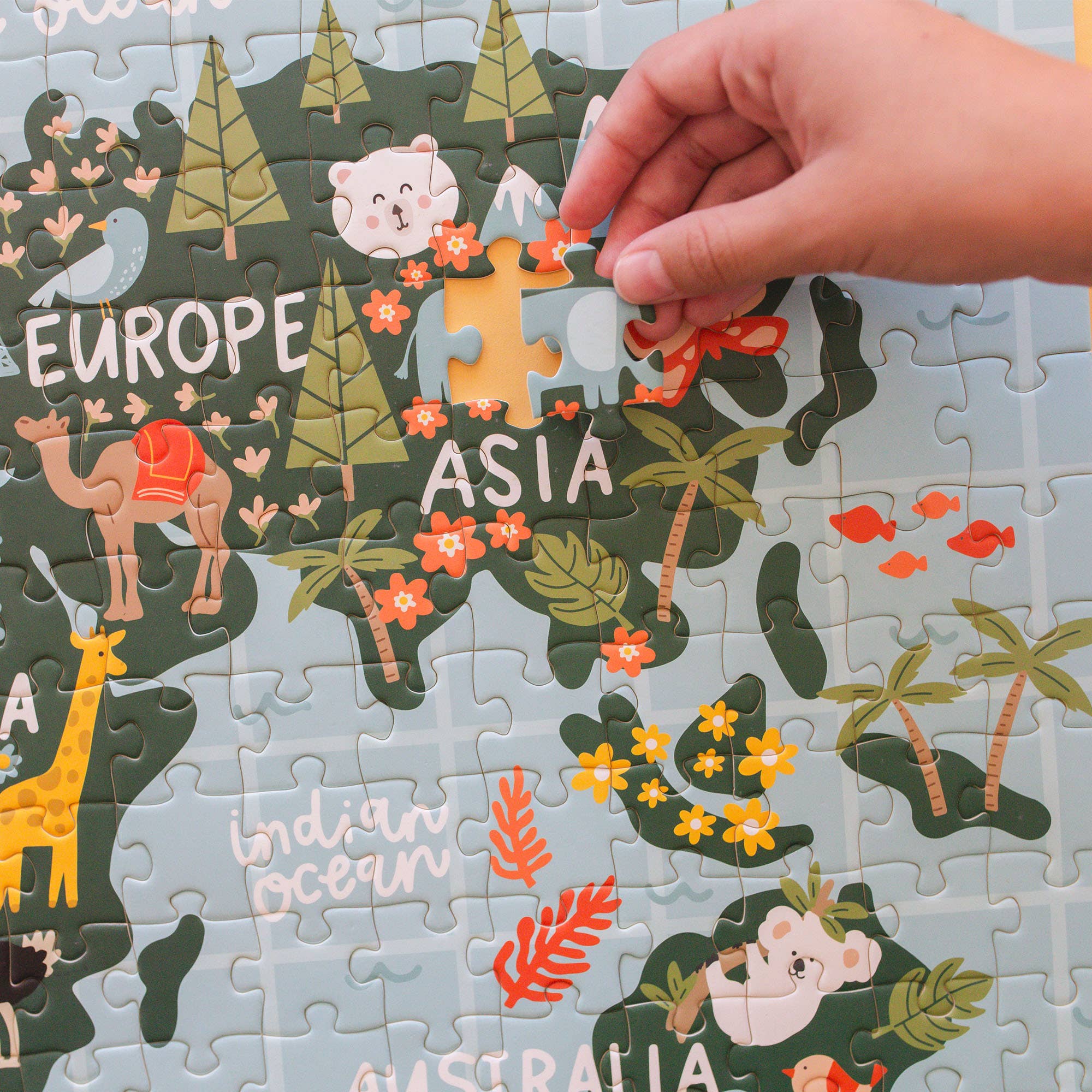 Map Jigsaw Puzzle